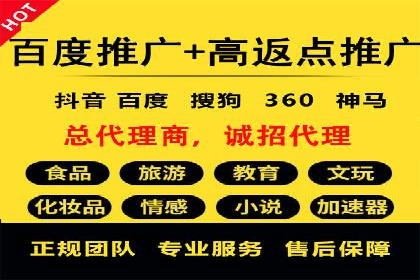 SEM广告投放的竞价策略与效果评估案例